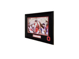 Ohio State Buckeyes 2017 Big Ten Champions custom framed picture