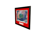 Stanford Cardinal 2016 Rose Bowl Champions Custom Framed Picture