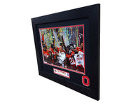 Ohio State Buckeyes 2018 Big 10 Champions Custom Framed picture