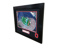 Ohio State Buckeyes 2019 Rosebowl Champions Aerial custom framed picture